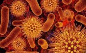 parazītu veidi cilvēka organismā